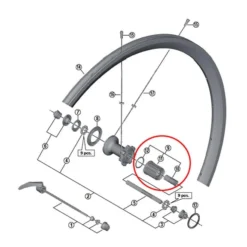 Shimano 105 RS330/RS610/5800 Rear Freewheel Hub
